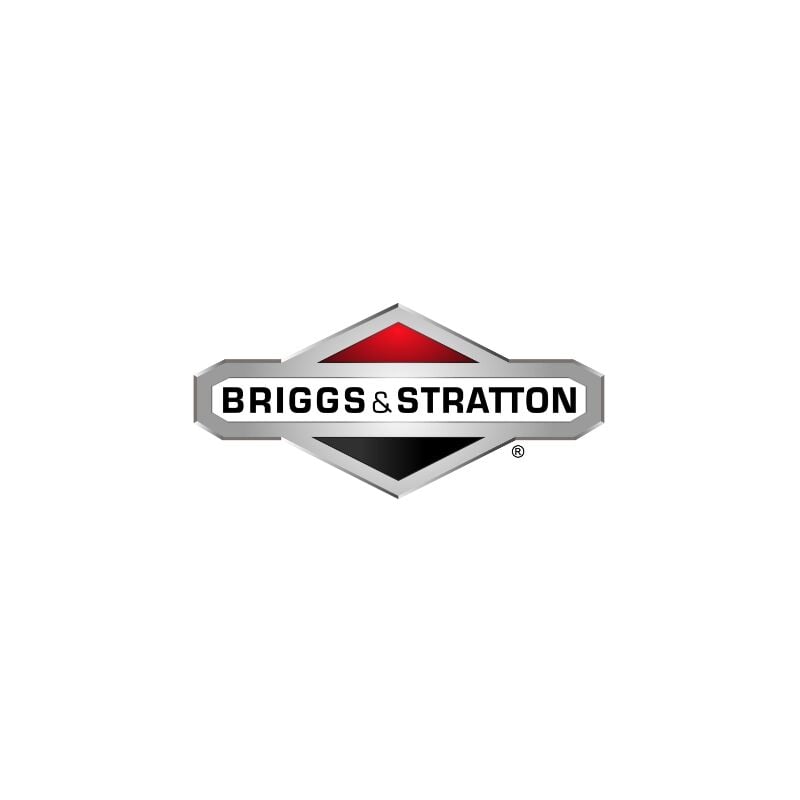 foto del prodotto briggs stratton rondella elastica trattorino tagliaerba rasaerba 1709256