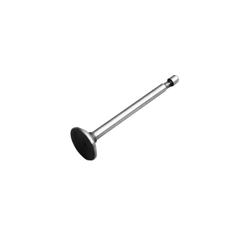 foto del prodotto briggs stratton valvola di aspirazione motore briggs stratton 1464, 1467, 1704, 1707, 1764