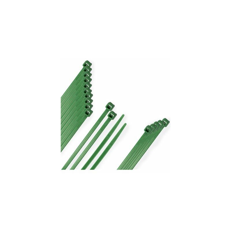 foto del prodotto briglia 100 nylon. colore verde 2,5 x 100 mm. sacchetto 100 unit 