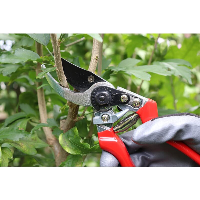foto del prodotto brixo forbice da pota professionale 20 cm in alluminio pressofuso e lame intercambiabili swiss tipo felco