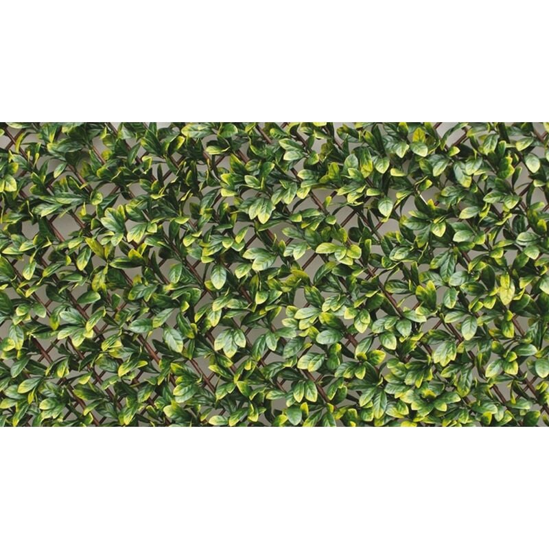 foto del prodotto brixo siepe sintetica ornamentale artificiale panelgreen trellis 100x200 cm