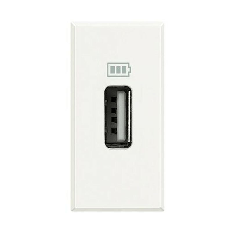 foto del prodotto bticino caricatore usb 1,1 a axolute bianco hd4285c1