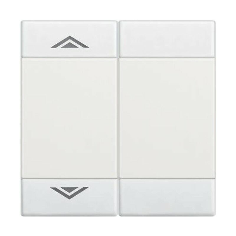 foto del prodotto bticino copritasto livinglight a 2 funzioni n4911m2ahn