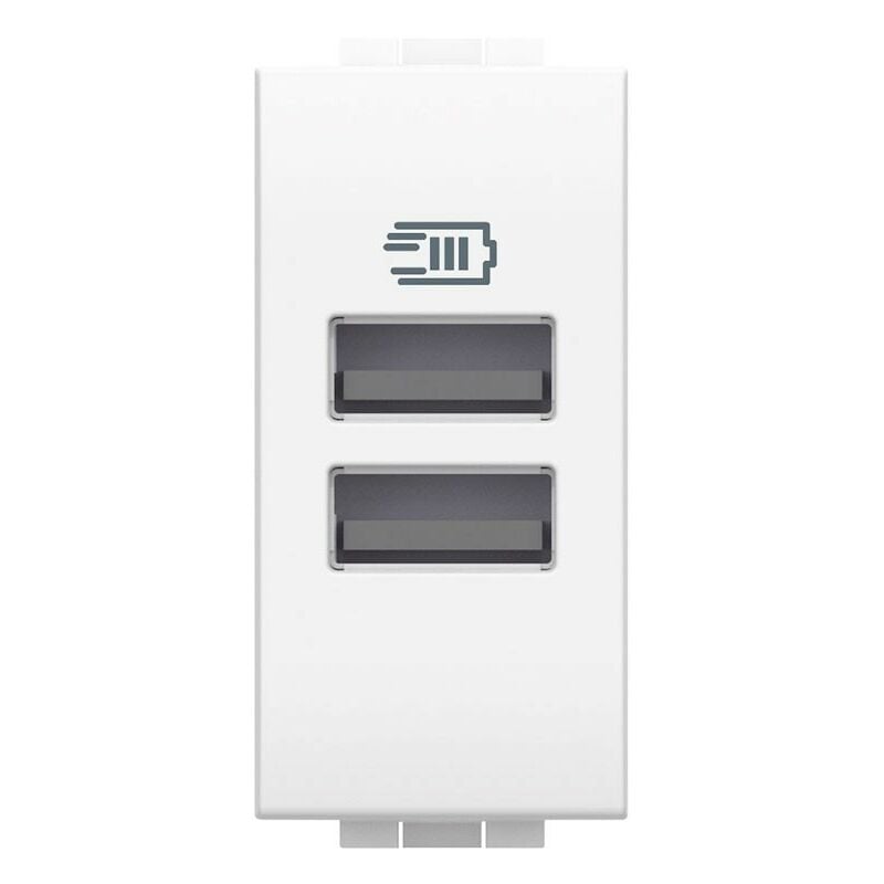 foto del prodotto bticino livinglight doppia presa usb tipo a 1 modulo n4191aa