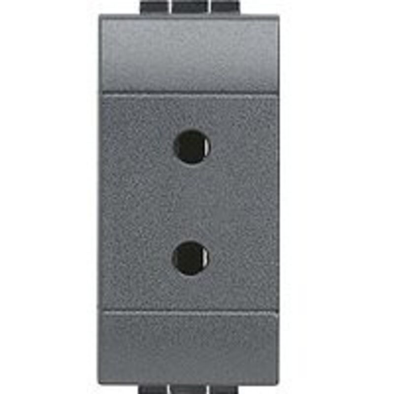 foto del prodotto bticino presa mignon 2p 6a 24v living int cod. l4291 