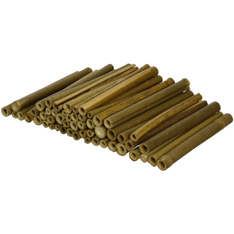 foto del prodotto btw1 tubi di nidificazione in legno per le api, pk 50, 7 10 mm x 150 mm wildlife world