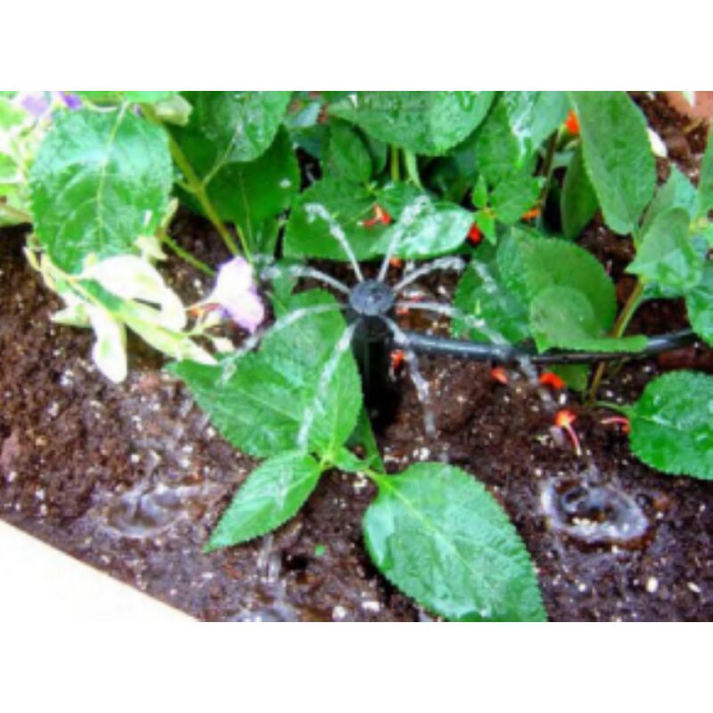 foto del prodotto bubbler spider 360 confezione 5 pezzi rain 695.0431000