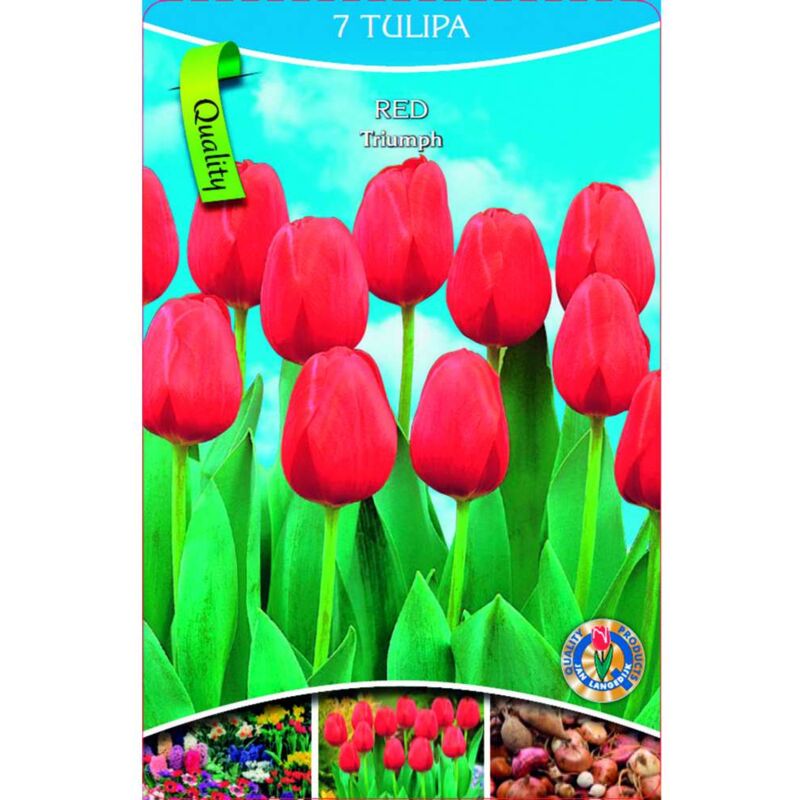 foto del prodotto bulbi primaverili