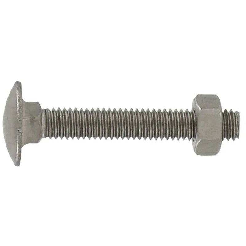 foto del prodotto bullone a testa tonda 6x70 mm in acciaio inox a2 con collare quadrato, 4 pz.