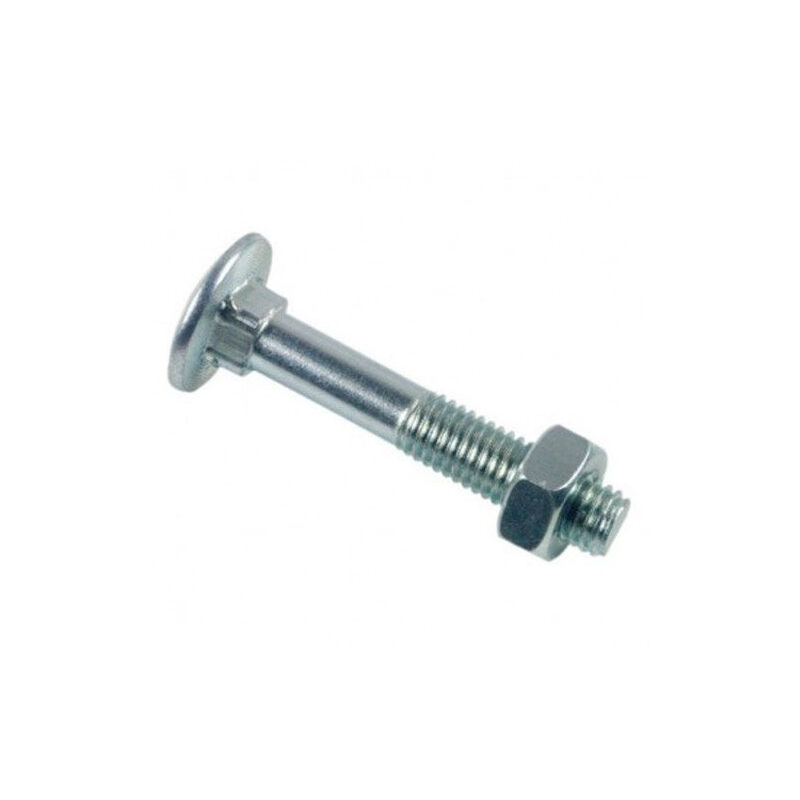 immagine 0 del prodotto bullone a testa tonda a collo quadro trcc zincato bianco 6x45 scatola da 100 btrcc0604502b lennie