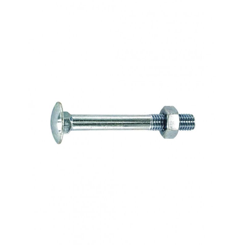 foto del prodotto bullone a testa tonda con collare quadrato in acciaio zincato 6x80 mm, 5 pz.