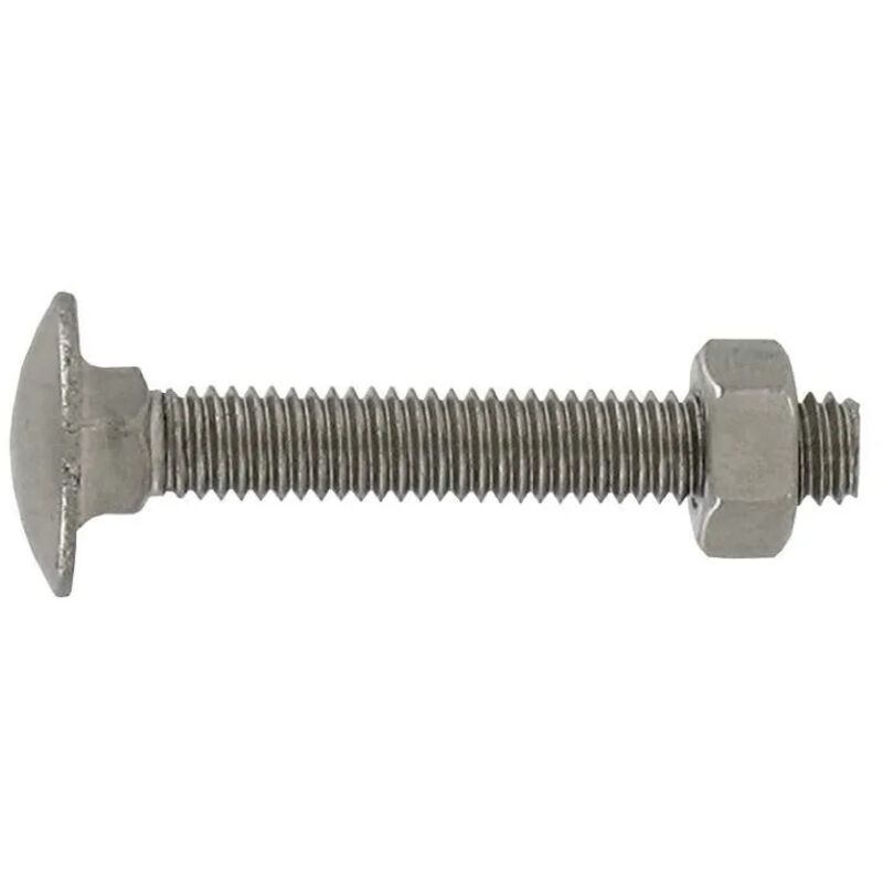 foto del prodotto bullone a testa tonda in acciaio inox a2 6x40 mm a collo quadrato, 4 pezzi.