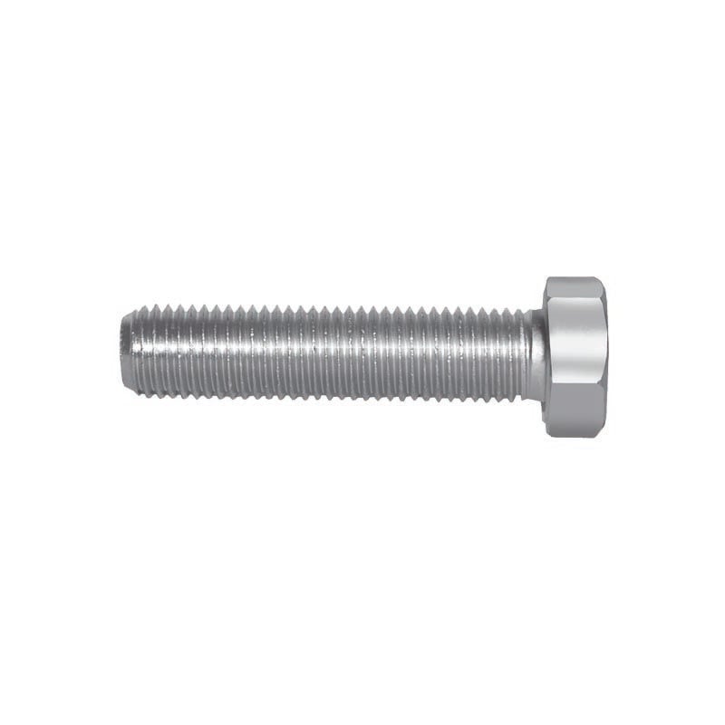 foto del prodotto bullone inox 20x70
