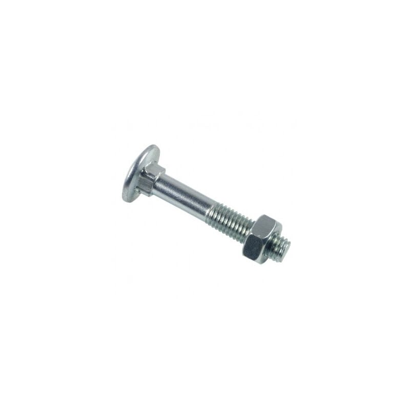 foto del prodotto bullone lennie testa tonda collo quadro trcc zincato bianco 16x160 scatola da 10 btrcc16002b