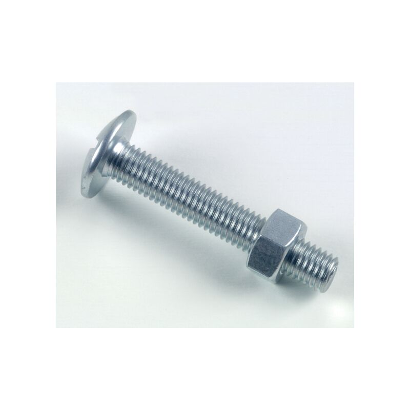 foto del prodotto bullone per stufa lennie testa tonda grande 10x40 confezione da 50 brl1004002b
