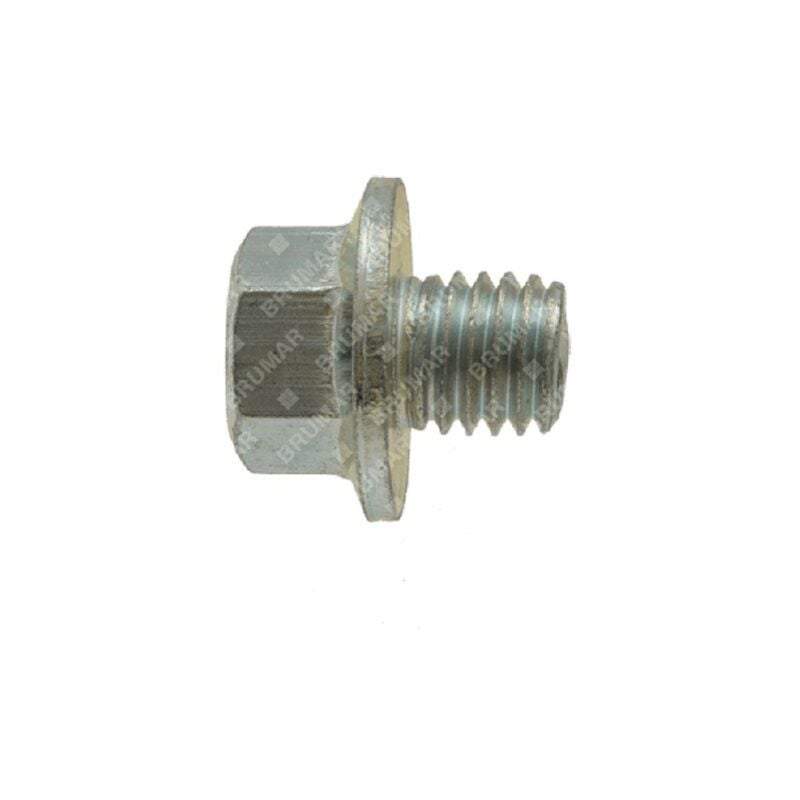 foto del prodotto bullone tappo sfiato mototrivella ag 52 compatibile 040171