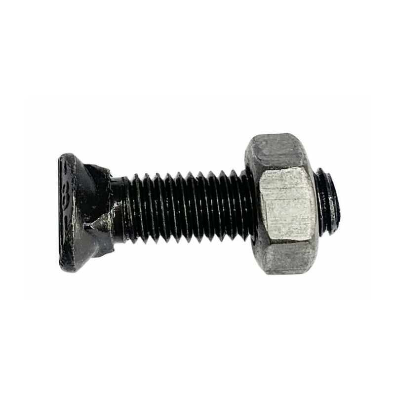 foto del prodotto bullone testa ovale m10x60 con dado