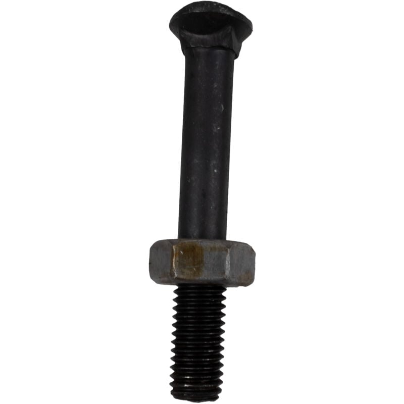 foto del prodotto bullone testa ovale m10x70 con dado