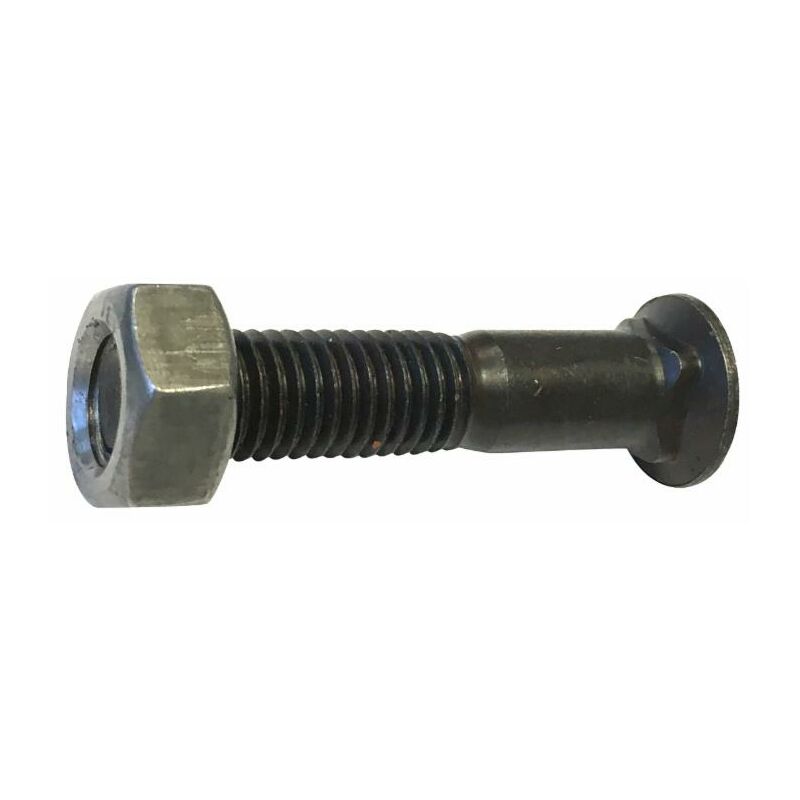 foto del prodotto bullone tspqst m12x60 120 con dado dx