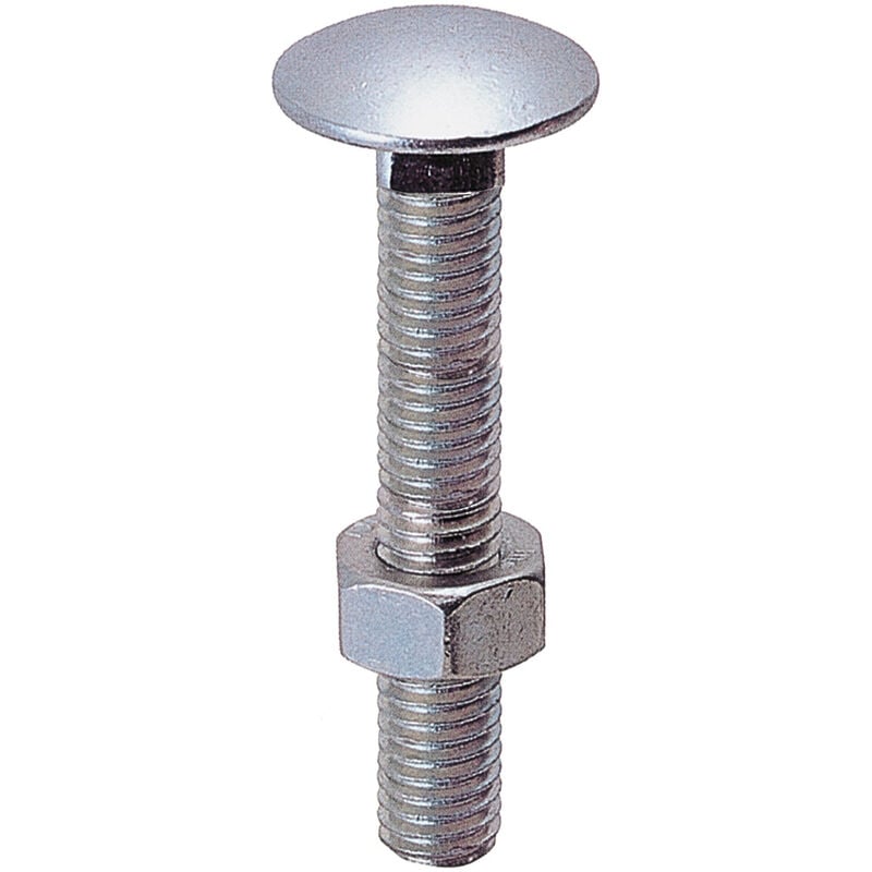 foto del prodotto bulloneria del toce sc bulloni a legno 6x 25 pz.20 