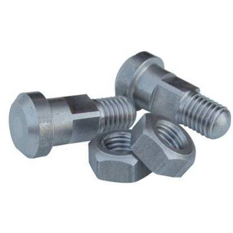 foto del prodotto bulloni kit n. 2 per forbici doppio buoi 21 cm con dado ricambio