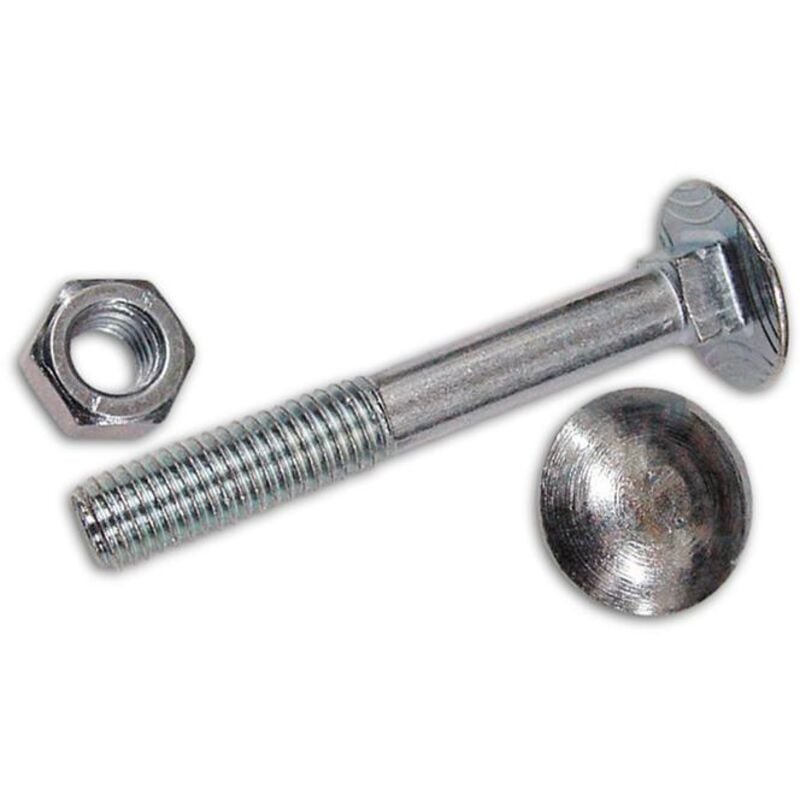 foto del prodotto bulloni tt mm 10x 30 zincati