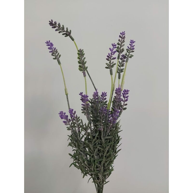 foto del prodotto bush lavanda 40cm
