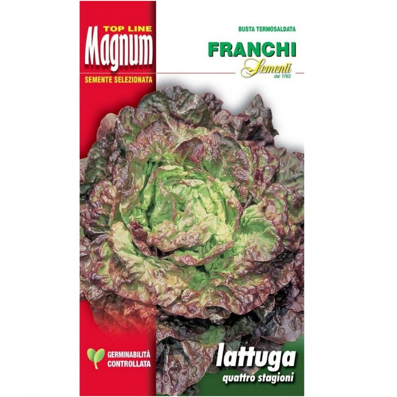 foto del prodotto busta magnum semi di lattuga quattro stagioni franchi sementi