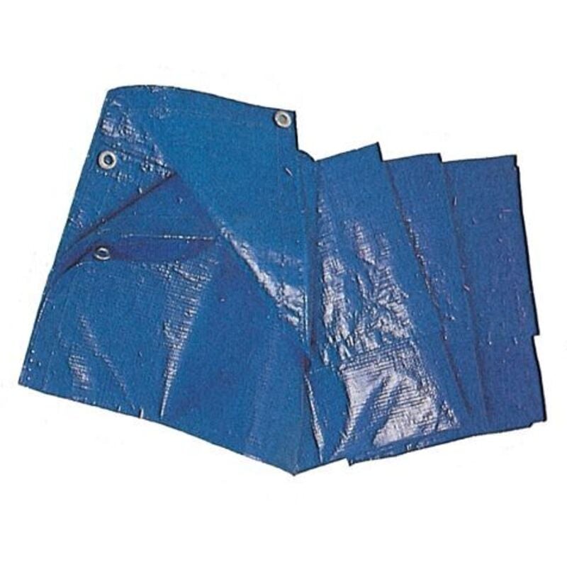 foto del prodotto c telo occhiellato pe blu 6x 8m 85gr