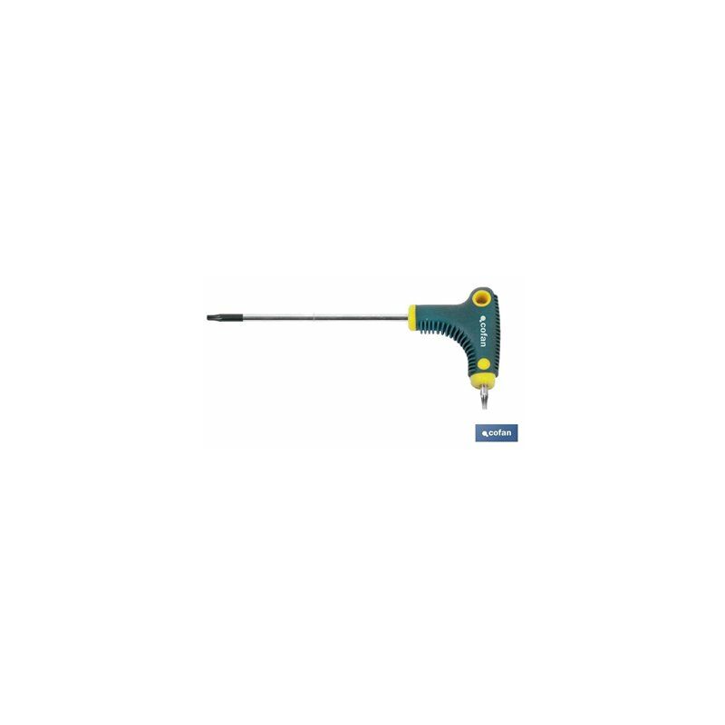 foto del prodotto cacciavite a t driver torx 40x200