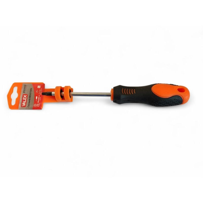 foto del prodotto cacciavite a t torx t 25 6x100 