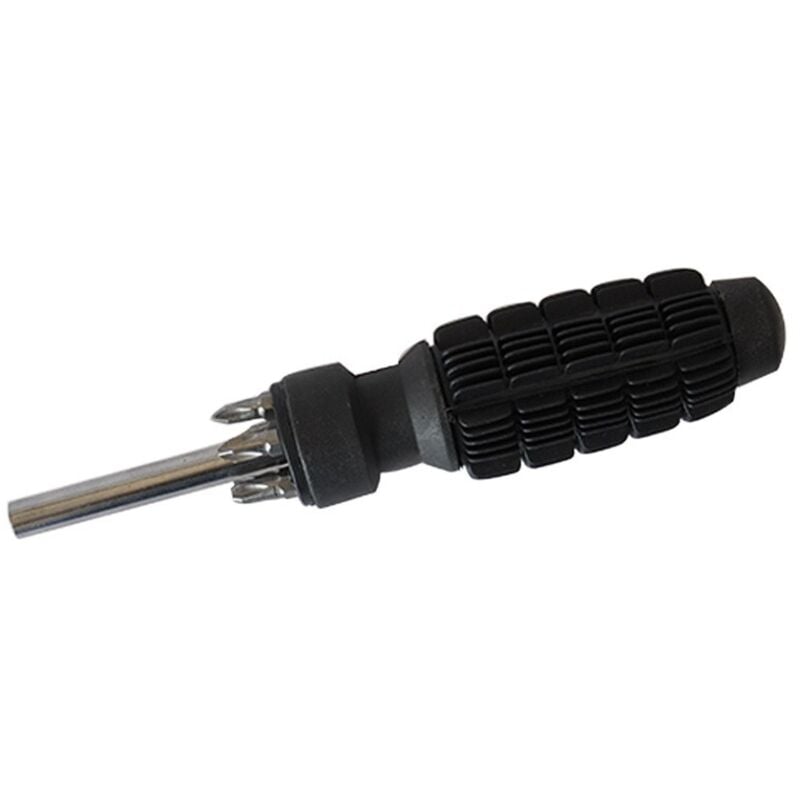 foto del prodotto cacciavite magnetico con 5 inserti e manico antiscivolo in blister, da 25 mm