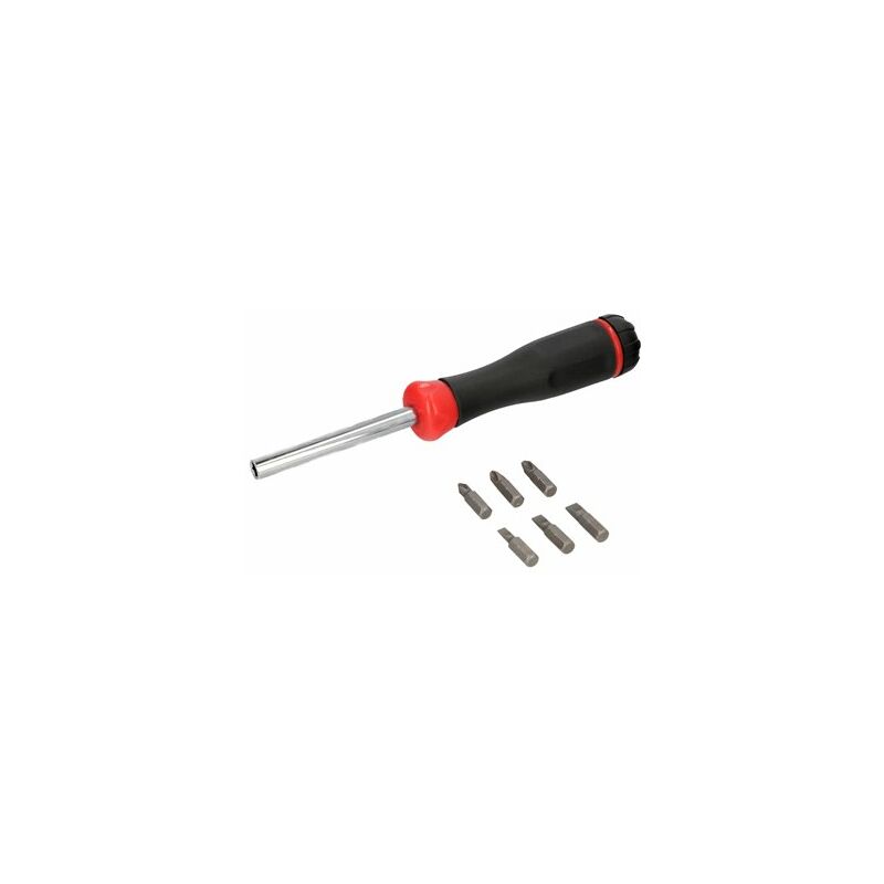 foto del prodotto cacciavite magnetico con 6 punte