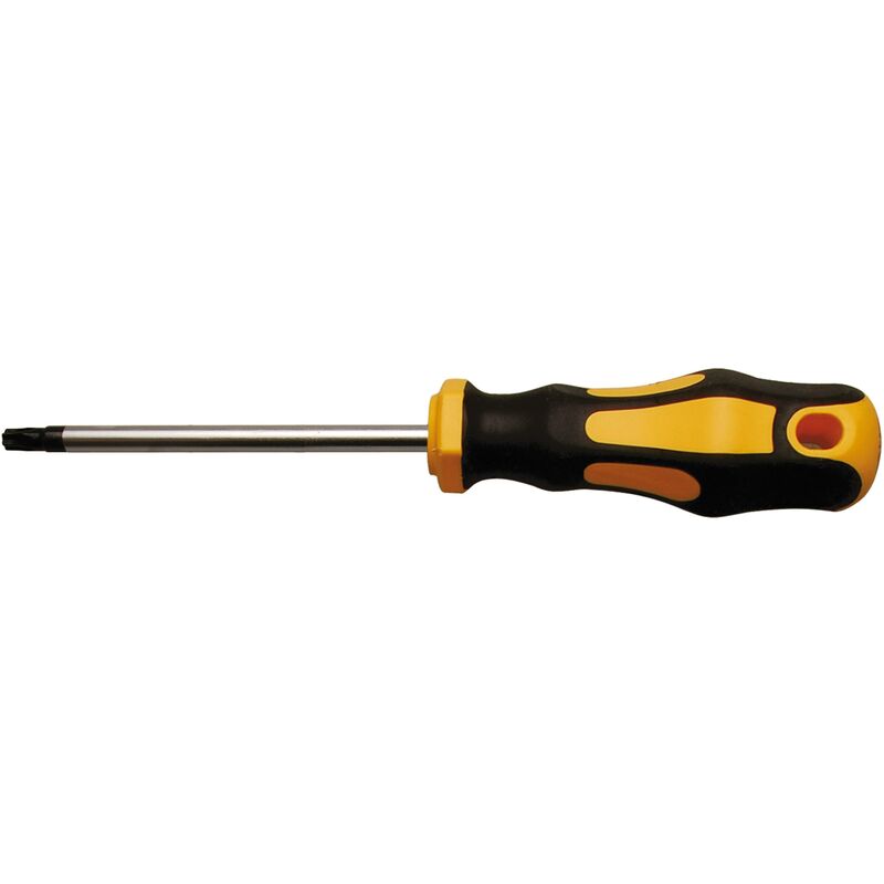 foto del prodotto cacciavite profilo a t per torx t30 lunghezza della lama 100 mm