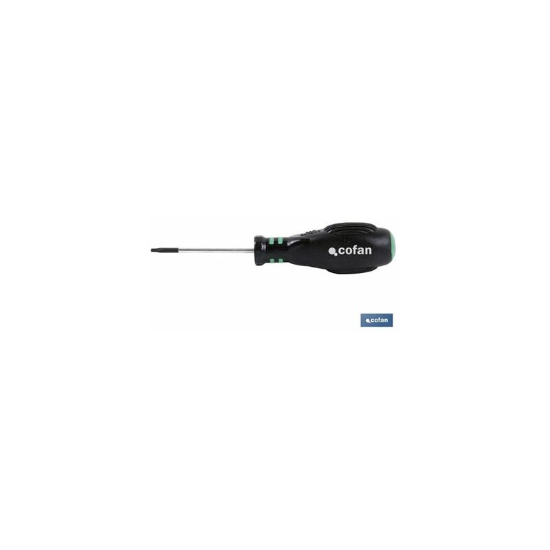 foto del prodotto cacciavite torx 10x80