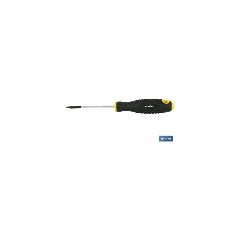 foto del prodotto cacciavite torx al cromo molibdeno t 40x150