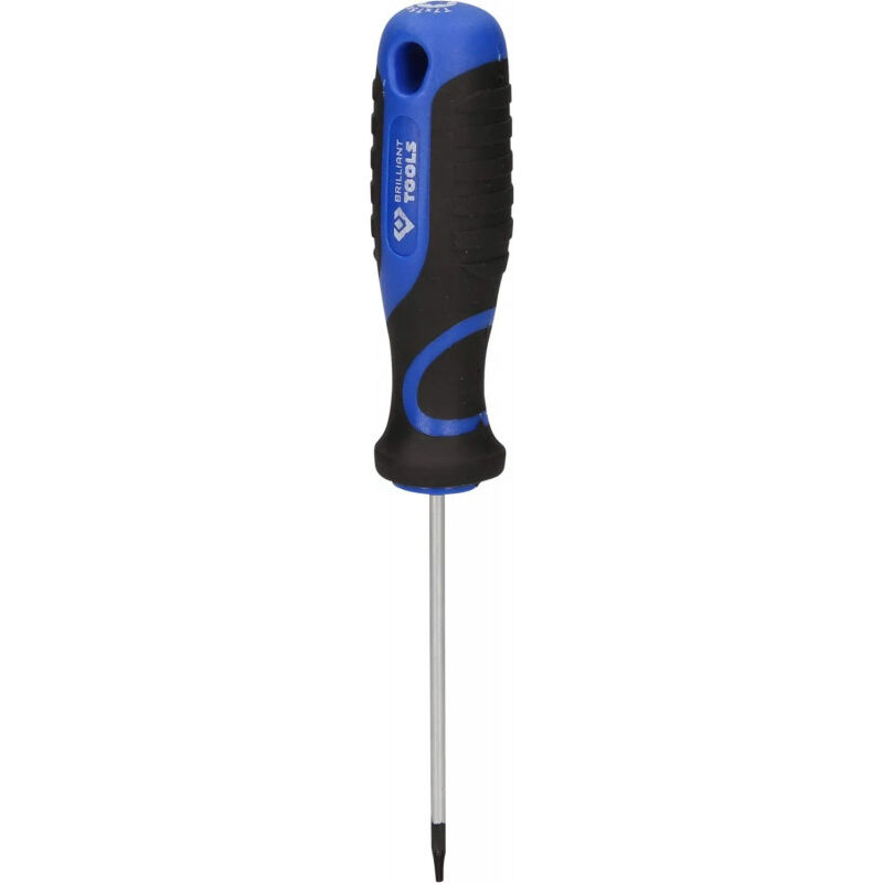 foto del prodotto cacciavite torx t10, lunghezza 100 mm