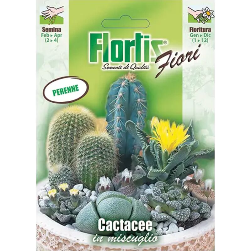 foto del prodotto cactacee mix flortis