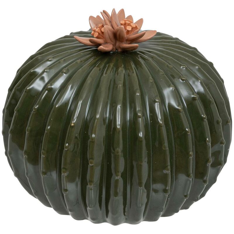 foto del prodotto cactus deco in ceramica h15cm verdastro atmosphera cr ateur d int rieur