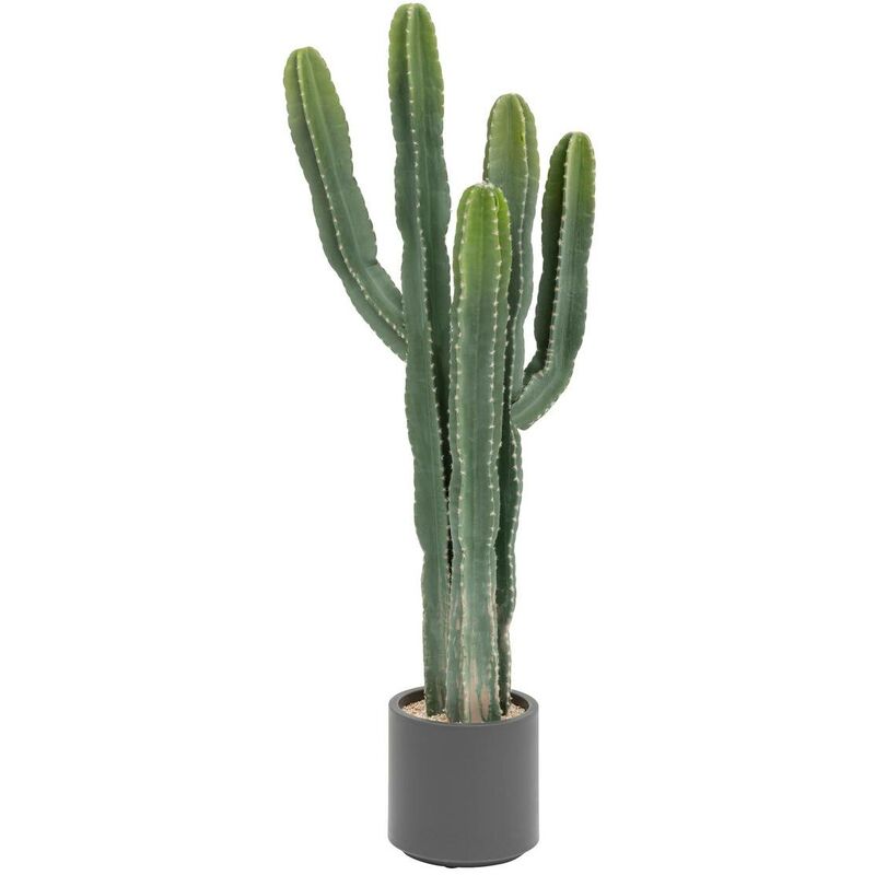 foto del prodotto cactus exotic panama h117cm verde atmosphera cr ateur d int rieur