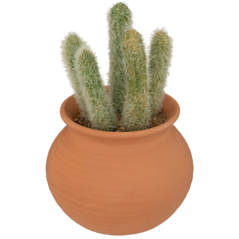 foto del prodotto cactus in vaso alicante in terracotta h16,5cm atmosphera cr ateur d int rieur