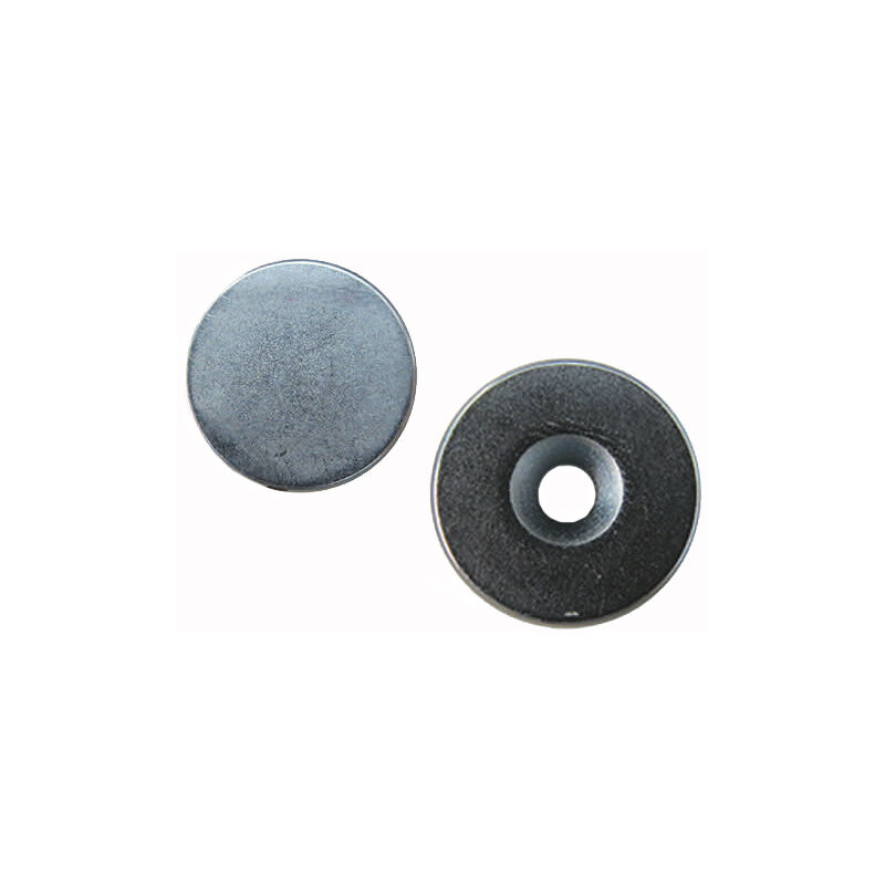 foto del prodotto calamite tonde al neodimio 15x3 90003c