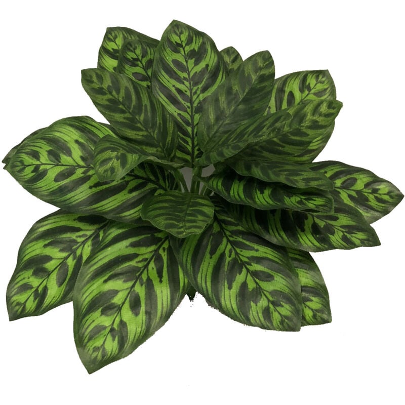 foto del prodotto calatea makoyana cespuglio artificiale multicolore uvr h 34 cm