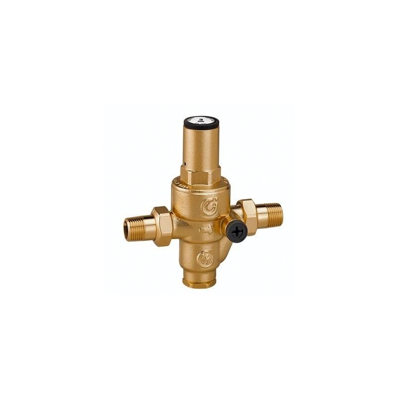 foto del prodotto caleffi riduttore di pressione, con cartuccia estraibile. attacchi maschio a bocchettone. misura 1 2 m. con attacco manometro 1 4 f. 536040