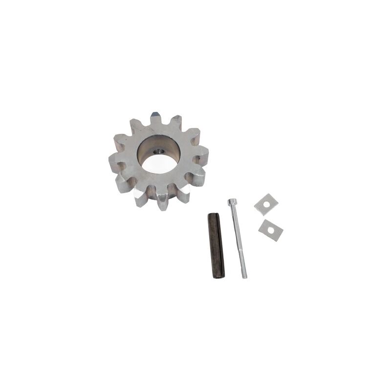 foto del prodotto came 119riy066 pignone di ricambio m6 z12 per by 3500t bk 2200