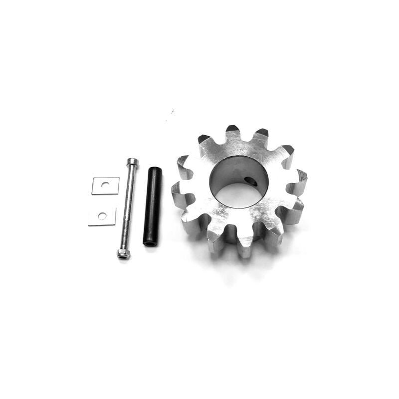 foto del prodotto came pignone per cancelli automatici serie bk bks m6 z12 119ribk010