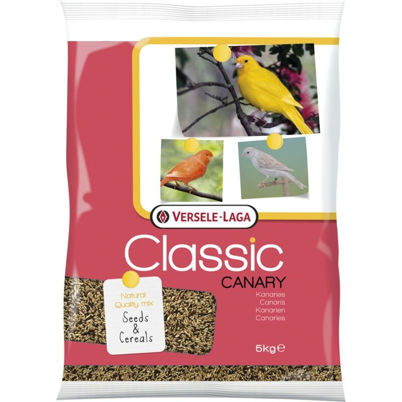 foto del prodotto canarie classiche 5 kg