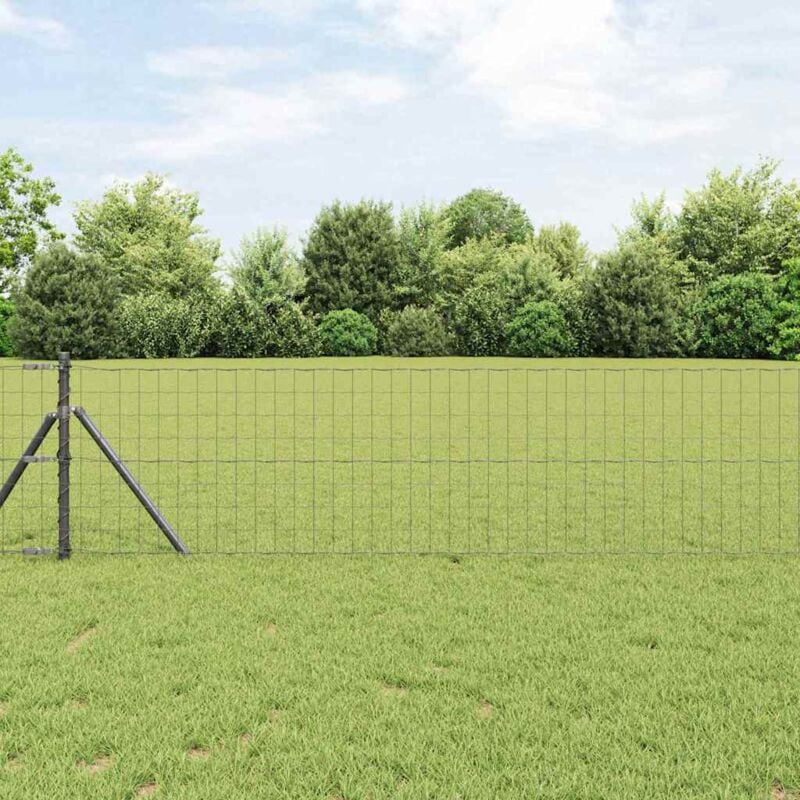 foto del prodotto cancello euro grigio 0.4x10 m acciaio vidaxl