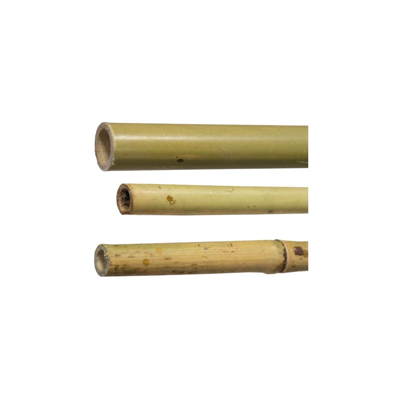 foto del prodotto canne bambu h180 diam 20 22 mm