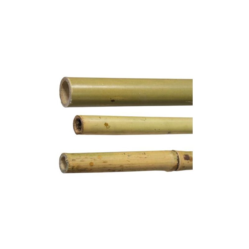 foto del prodotto canne bambu h180 diam 22 24 mm